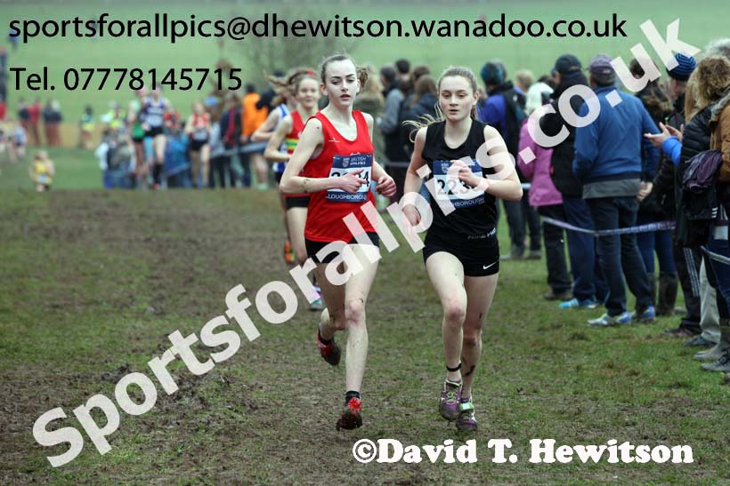 Womens under-17s Inter Counties Cross Country, Prestwold Hall, Loughborough. Photo: David T. Hewitson/Sports for All Pics